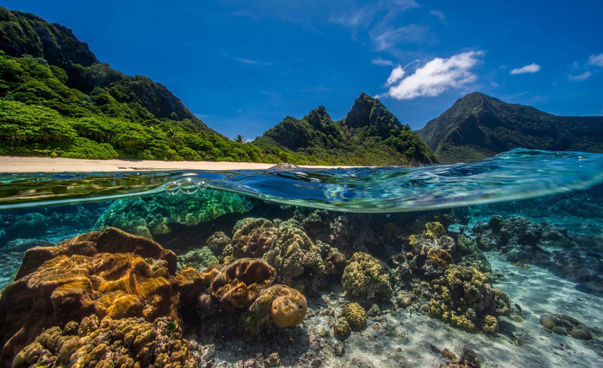 view of land and coral reef in american samoa
