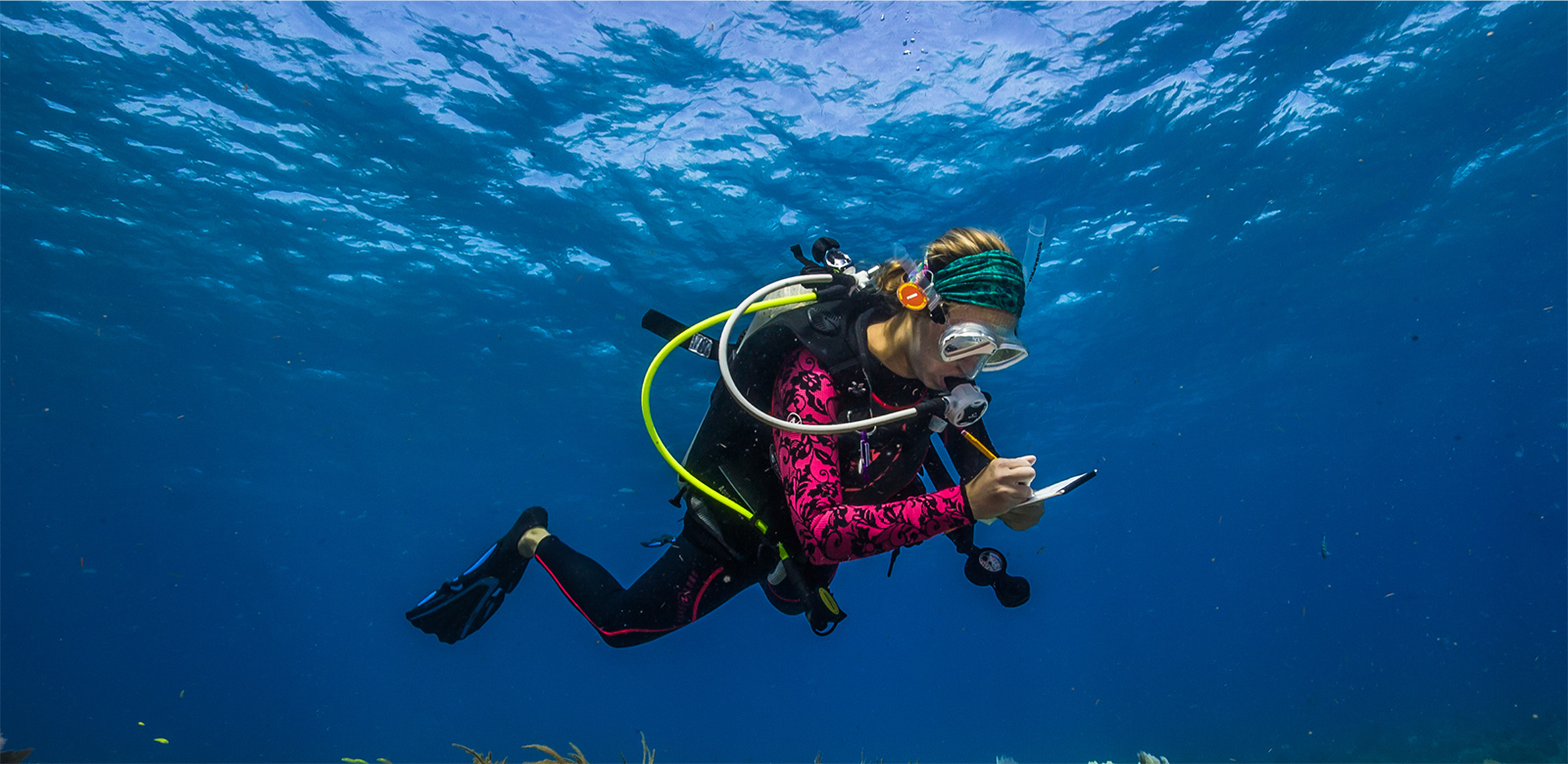 science diver assesses a reef in American Samoa