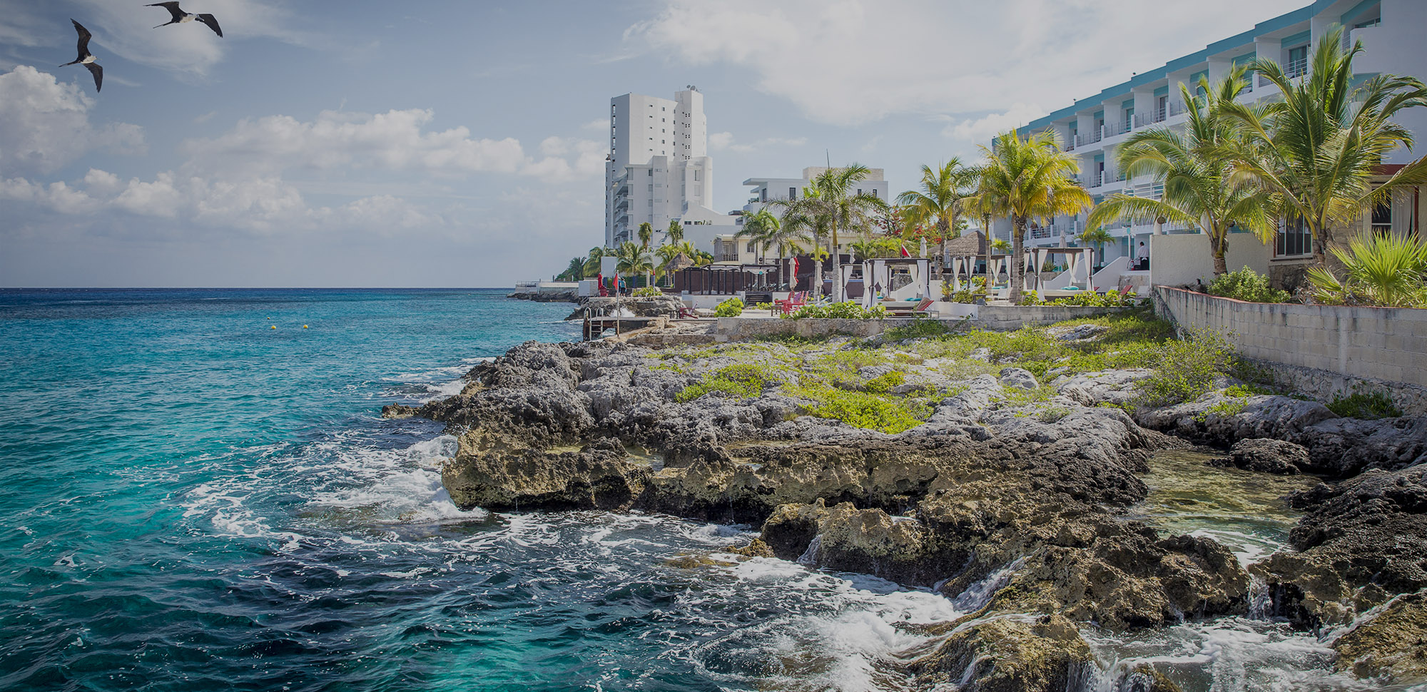 hotel on the coastline in cozumel, mexico