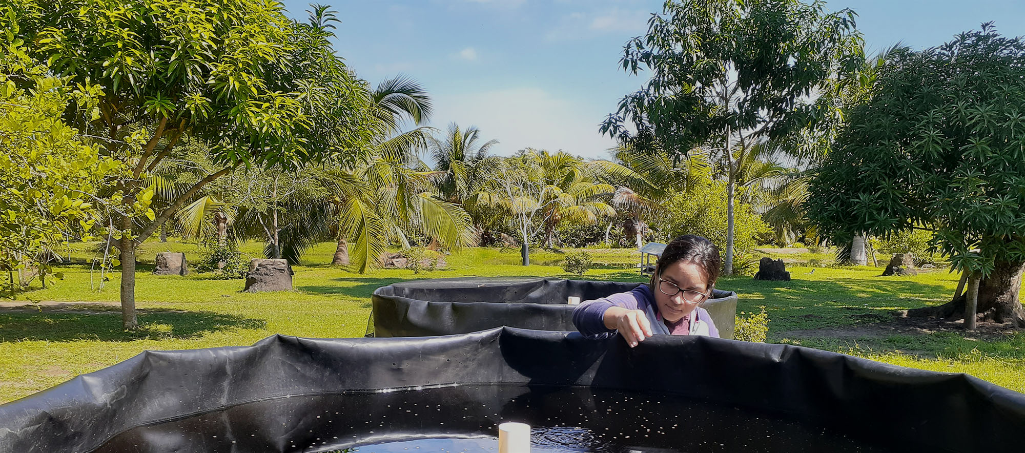 community scientist tests water quality in aquaculture system in tela honduras