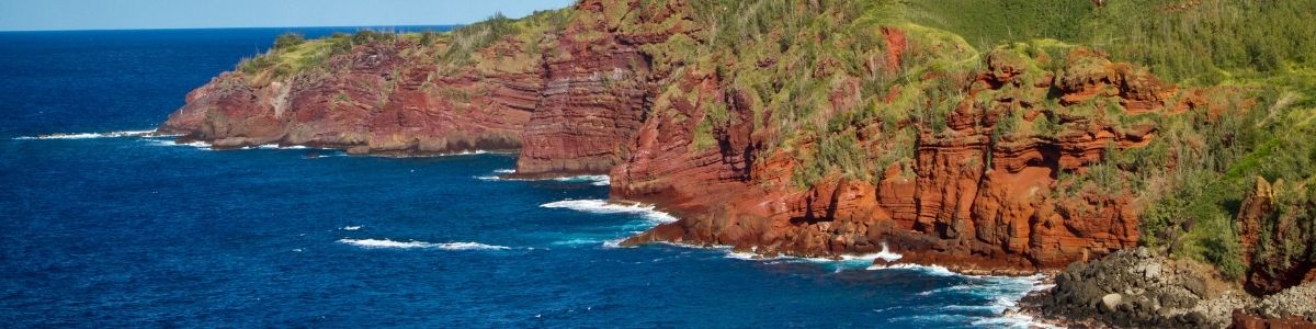 CORAL se Une a la Red Maui Nui Makai