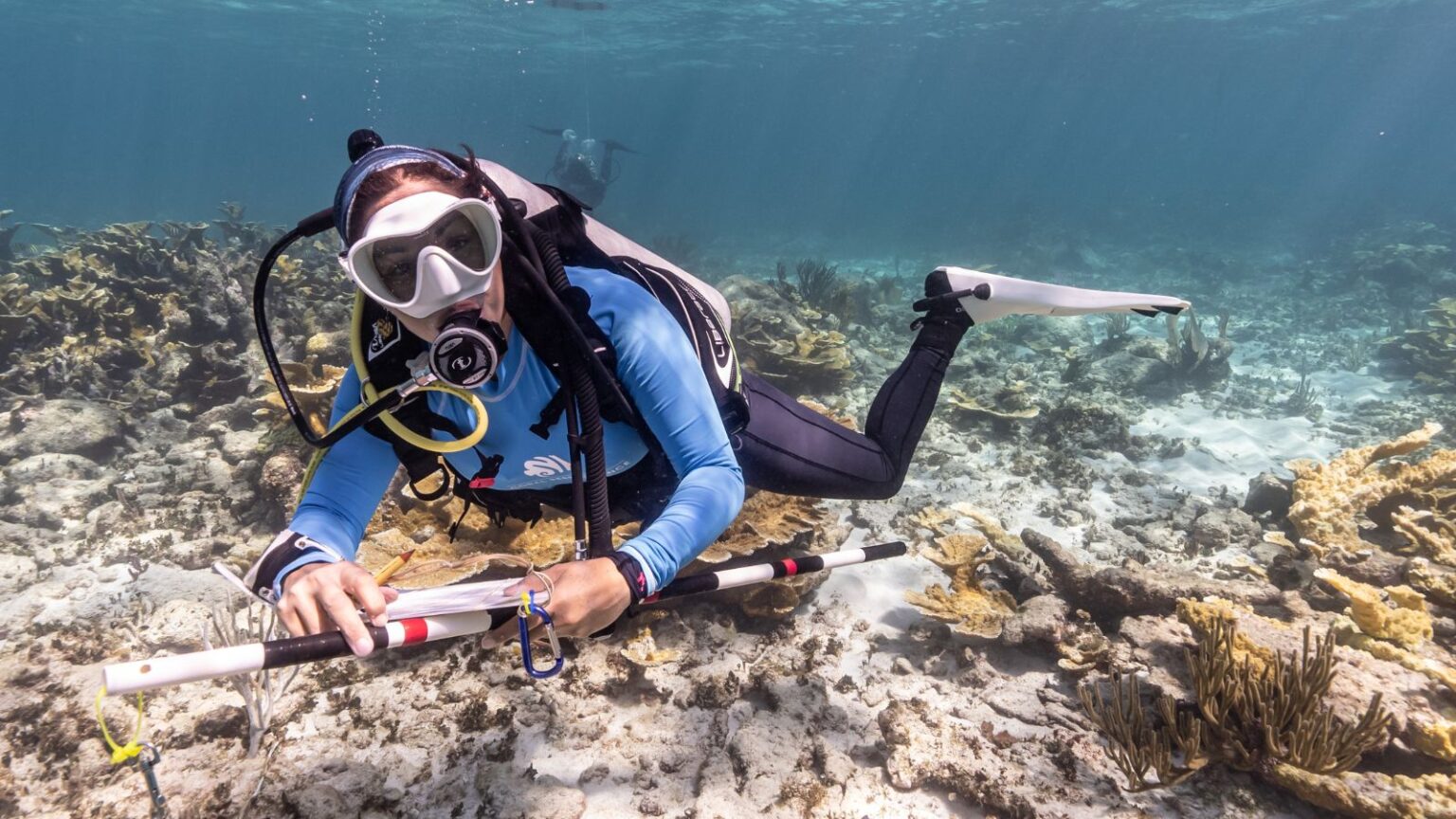 Meet Andrea - Marine Scientist and Conservationist