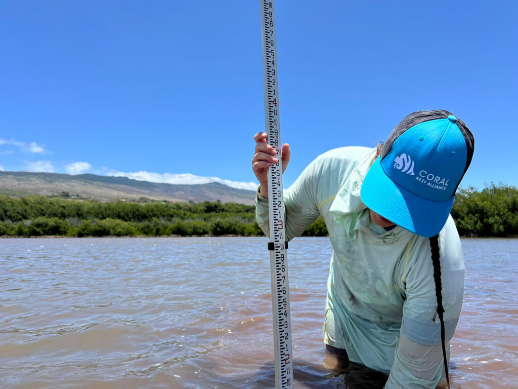 A CORAL scientist gathers data in Maui Nui to inform coral conservation strategies with local partners across the Hawaiian Islands