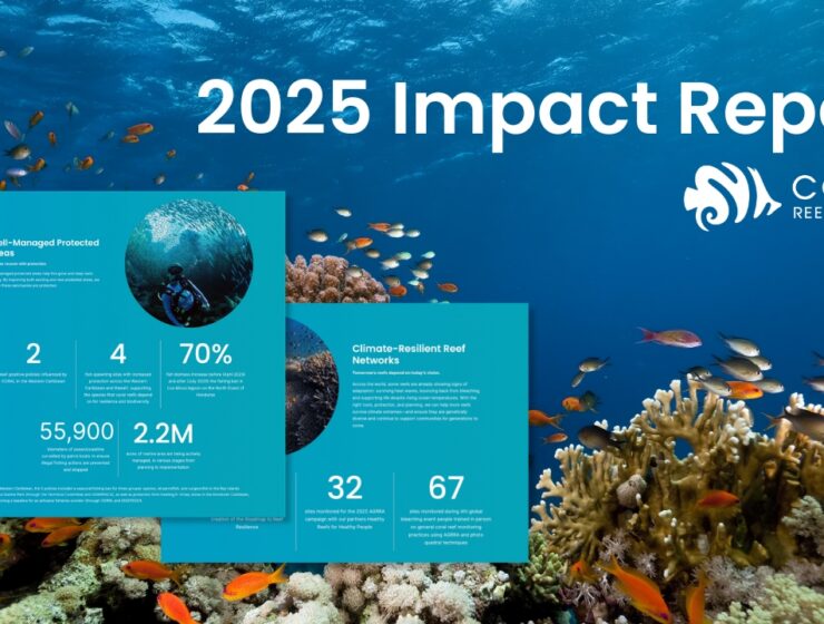 Screenshots of the Coral Reef Alliance 2025 Impact Report