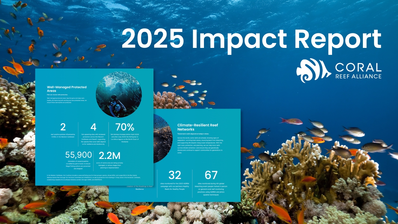 Screenshots of the Coral Reef Alliance 2025 Impact Report