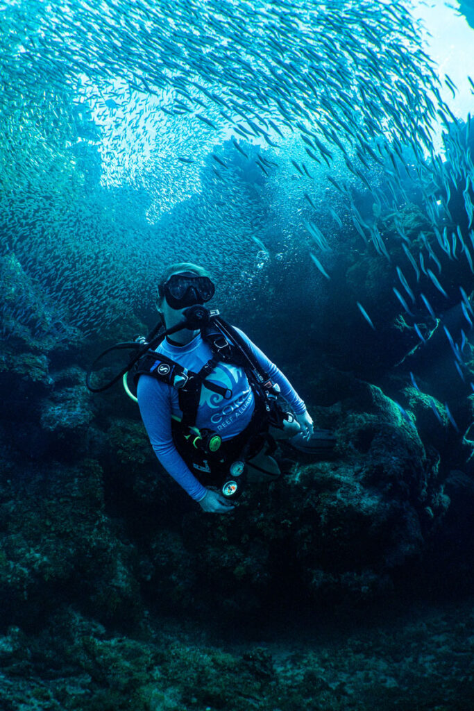 CORAL staff member, Maria McDonough, scuba dives through a swirl of reef fish in a protected area in the Western Caribbean