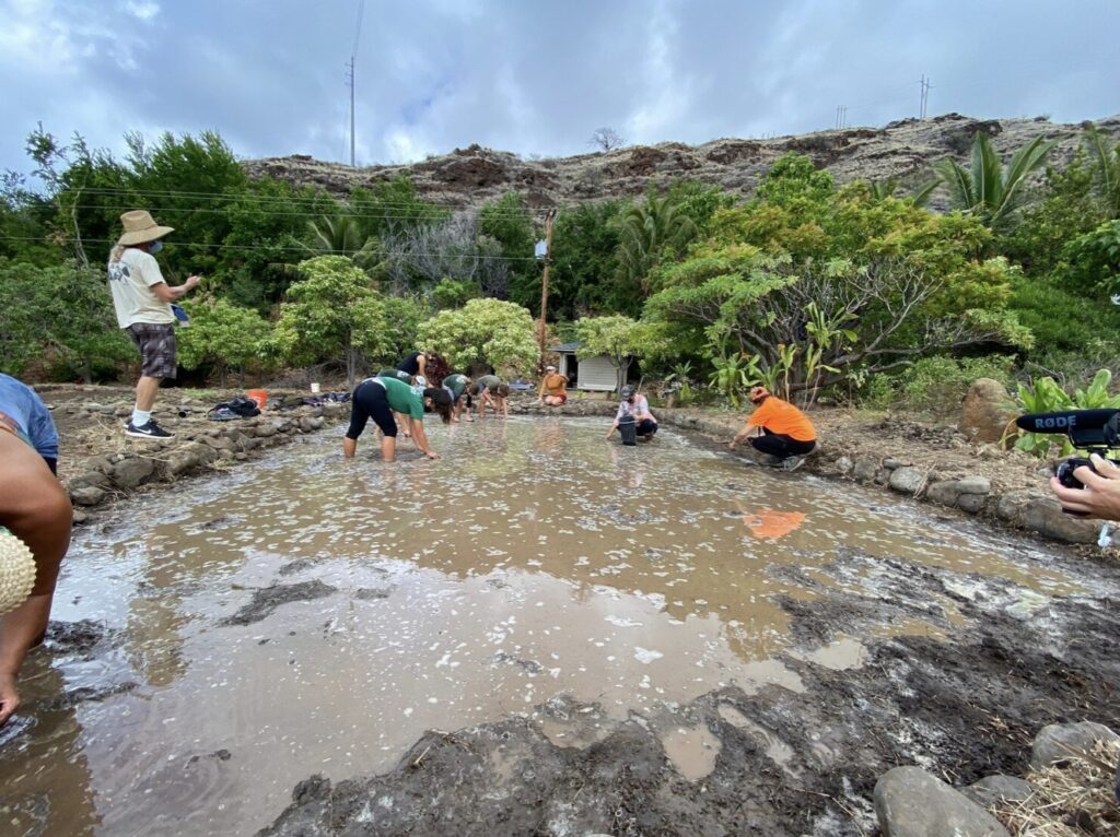 Volunteers at Kipuka Olowalu 
