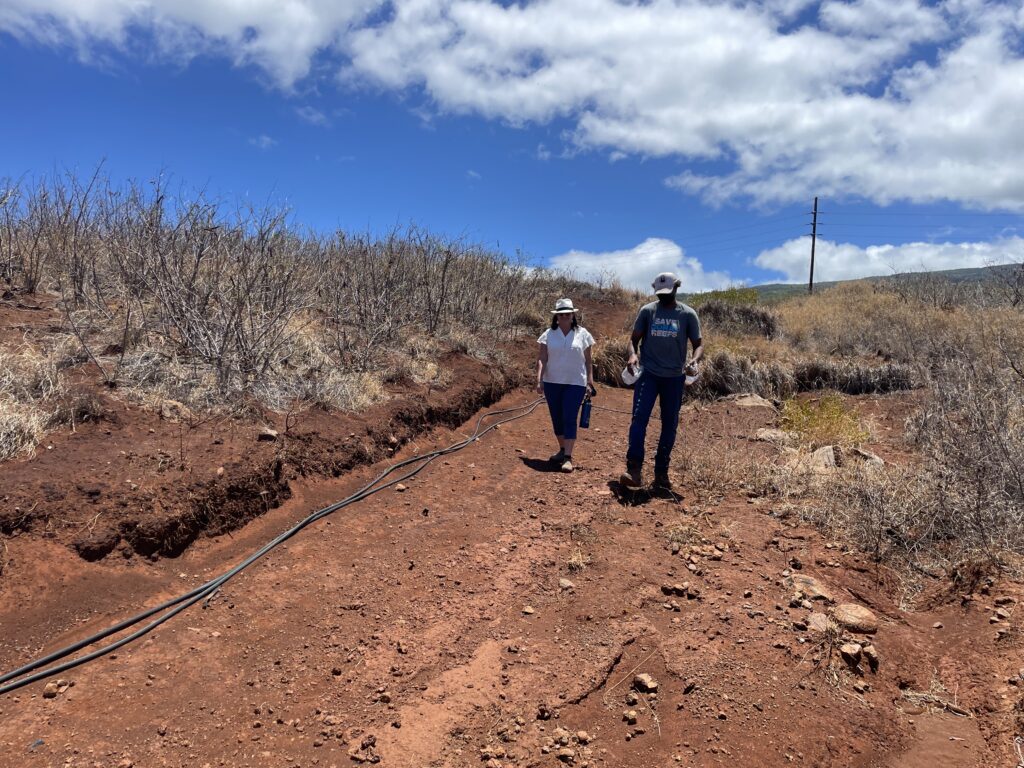 Degraded riparian zone in Maui, Hawaii