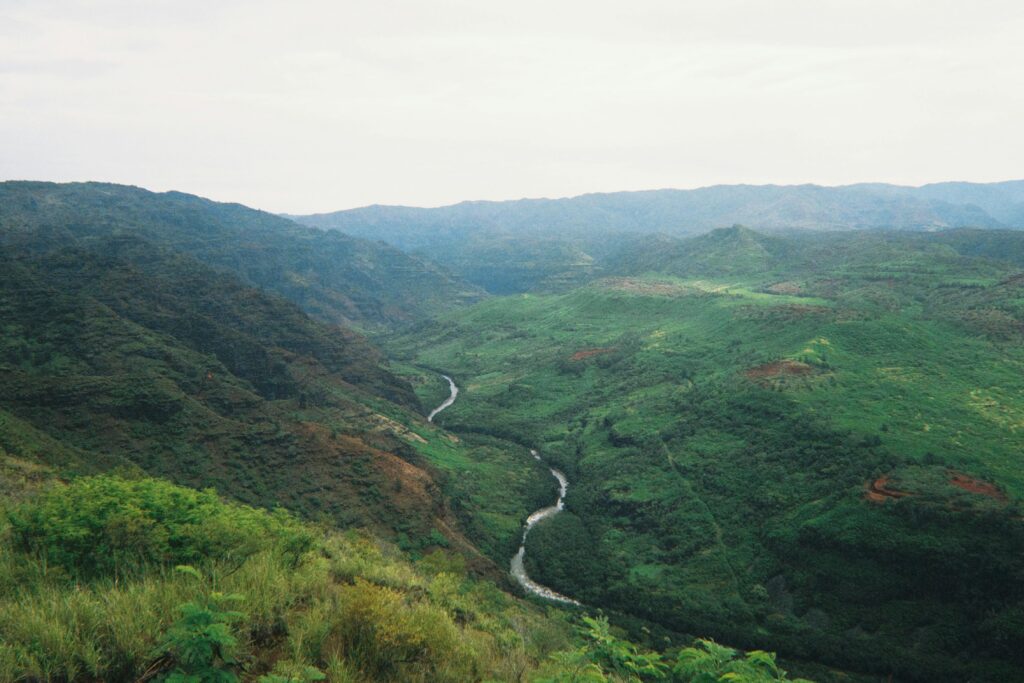 Aerial photograph of a river winding through a lush landscape