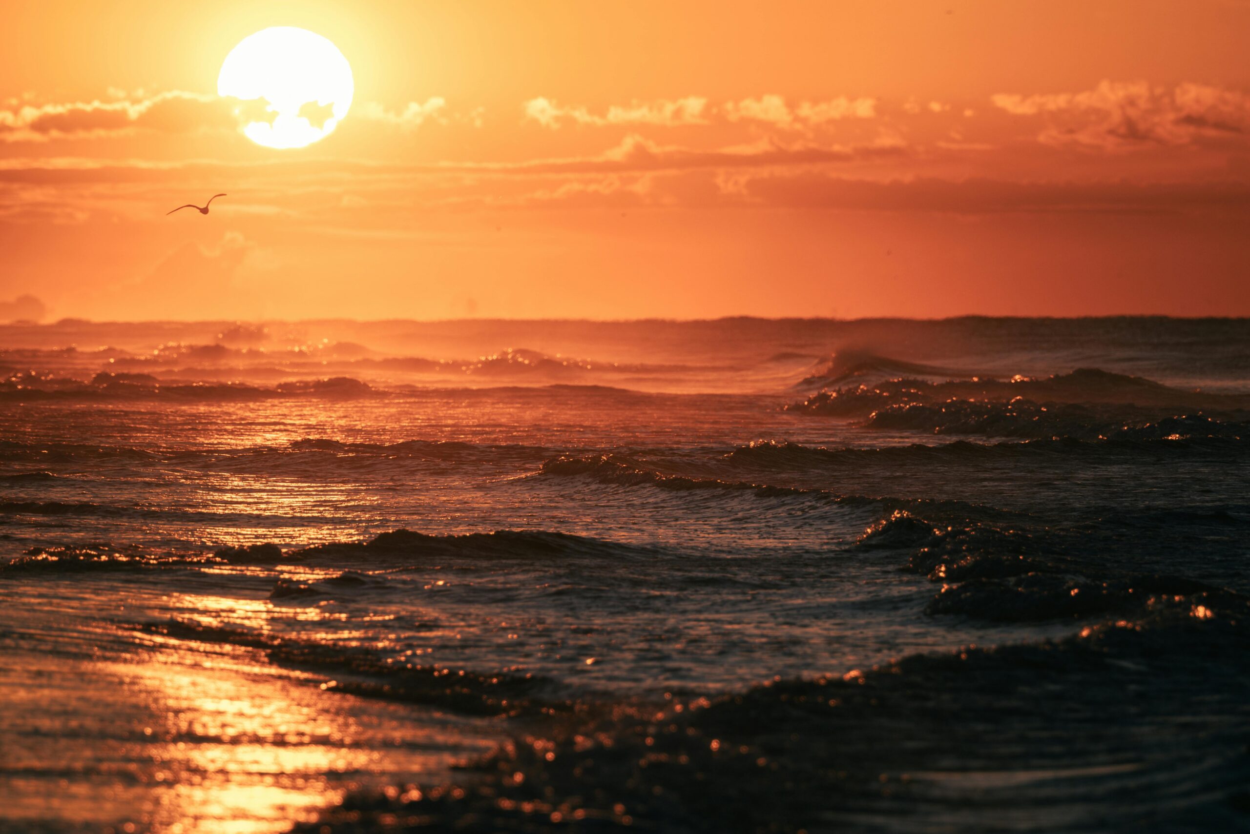 Sunset over the ocean