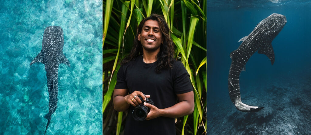 A three-panel image showcasing underwater photography by Kaush Subramaniam, featuring a central portrait of the photographer holding his camera, framed by two vivid shots of whale sharks swimming in the ocean.