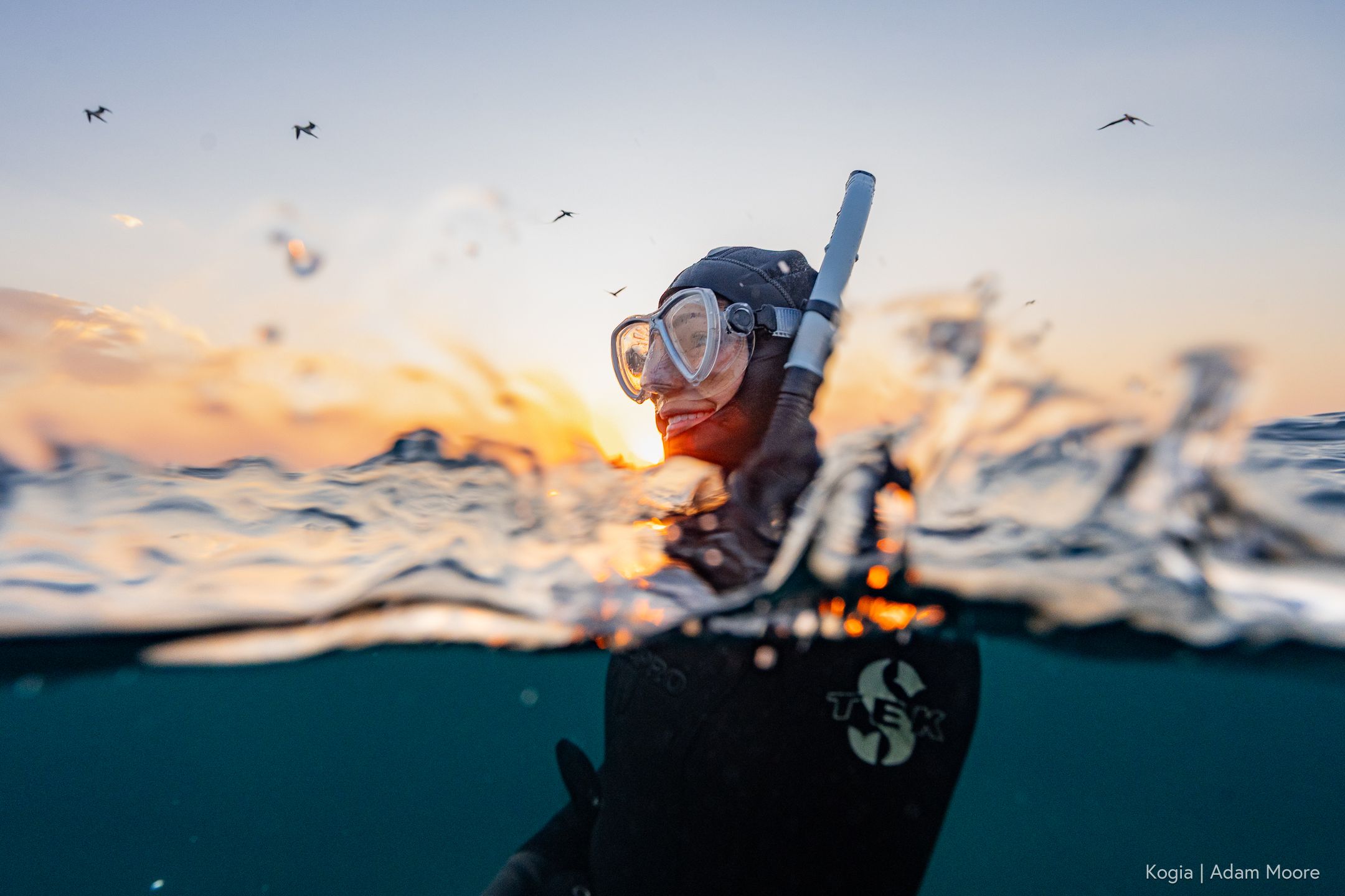 Where to See the World’s Most Beautiful Coral Reefs