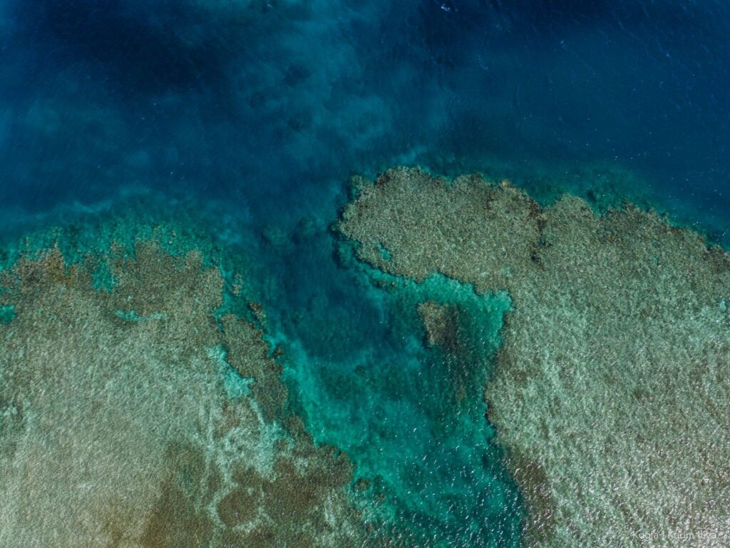 Aerial view of a large reef off the coast of Fiji