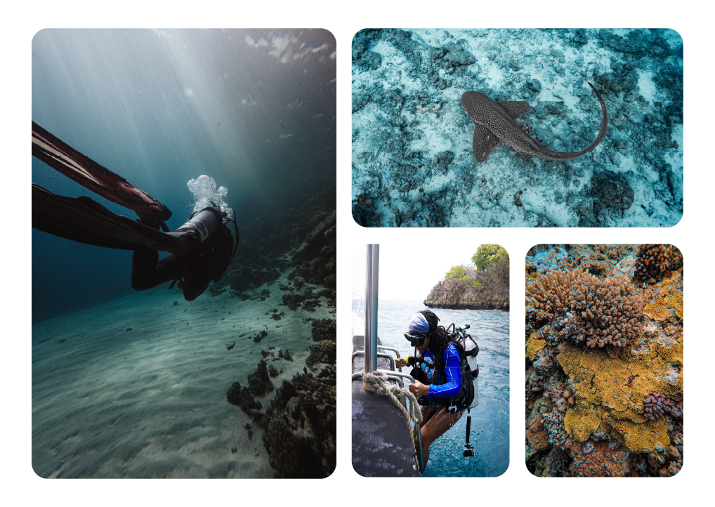 ¿Quién puede unirse a la Alianza de Buceo CORAL?